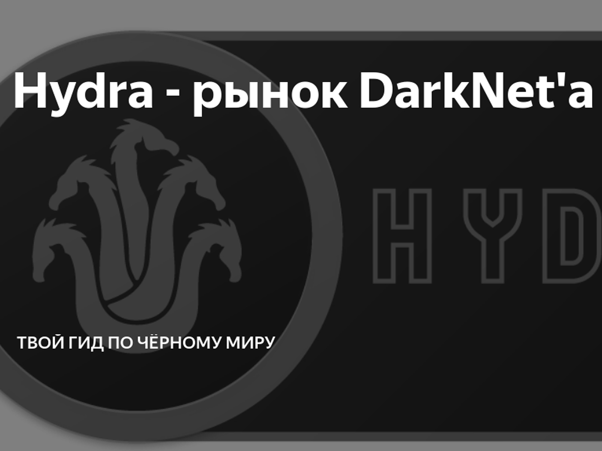 Kraken official