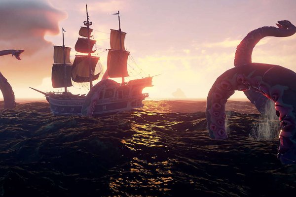 Kraken 24 top