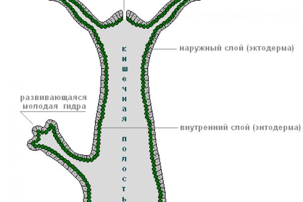 Ссылка на кракен шоп