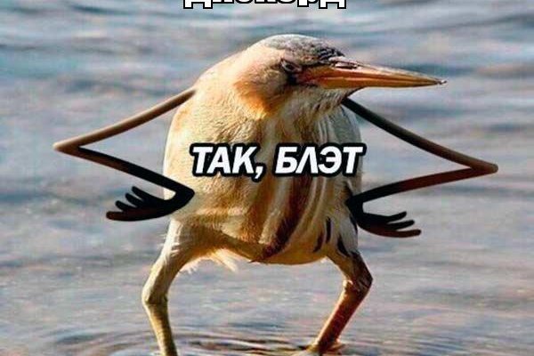 Новая ссылка на кракен