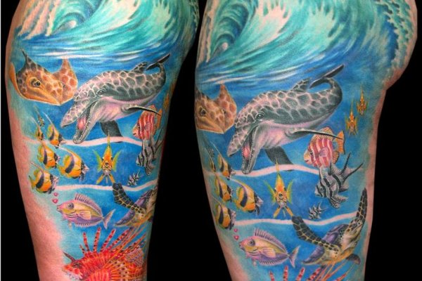 Kraken 6at