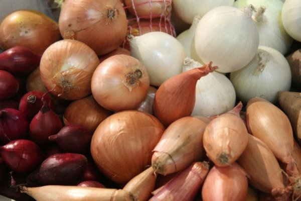 Kraken рабочее зеркало onion
