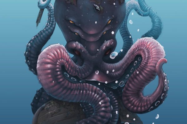 Kraken market