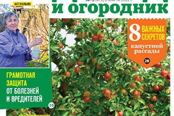 Гидра в даркнете